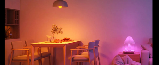 LEDs: The Future of Efficient Home Lighting