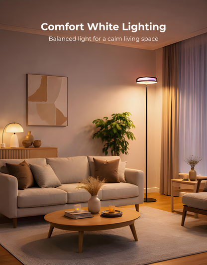 Apex Uplighter Floor Lamp