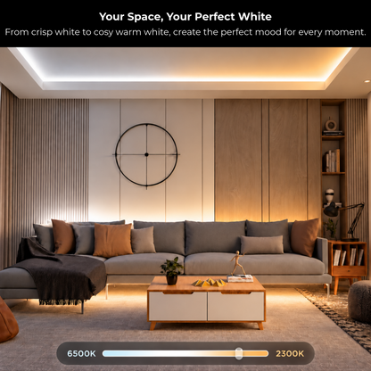 Apex RGBIC+WW LED Strip Light Pro