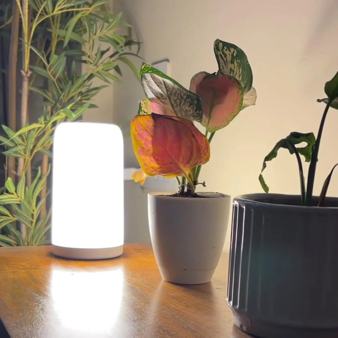 Apex RGBCW Smart Table Lamp
