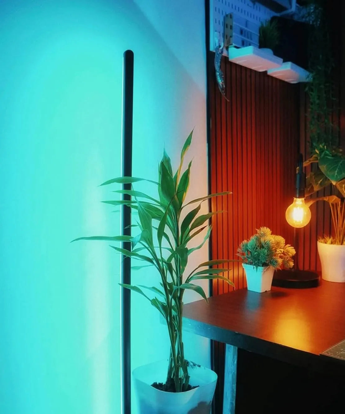 Apex RGBICW Floor Lamp